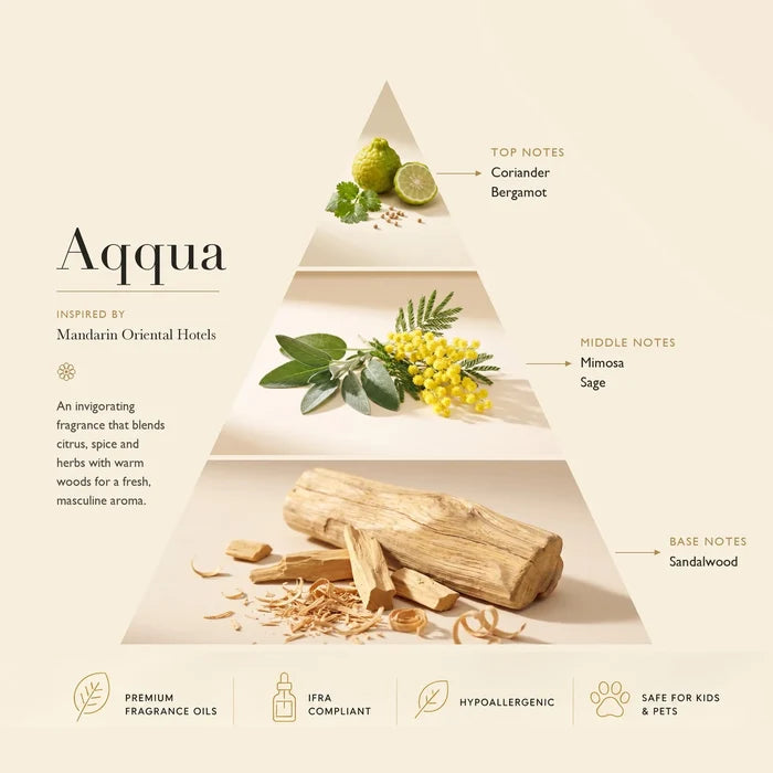Aqqua fragrance notes pyramid — top notes coriander and bergamot, middle notes mimosa and sage, base note sandalwood | Ascent Collection