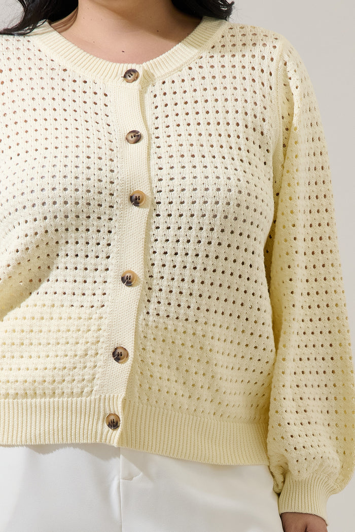 Deffy Button Down Knit Cardigan Curve
