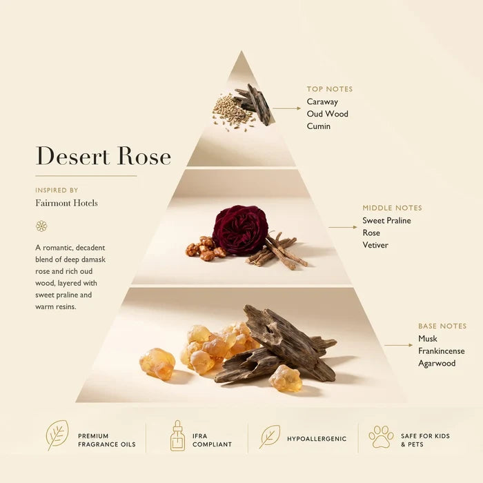 Desert Rose fragrance notes pyramid — top notes Caraway, Oud Wood, Cumin; middle notes Sweet Praline, Rose, Vetiver; base notes Musk, Frankincense, Agarwood | Ascent Collection