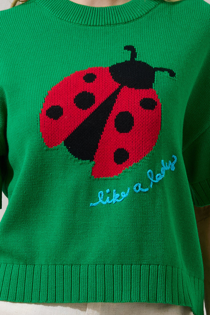 Ladybug Drop Shoulder Sweater Top