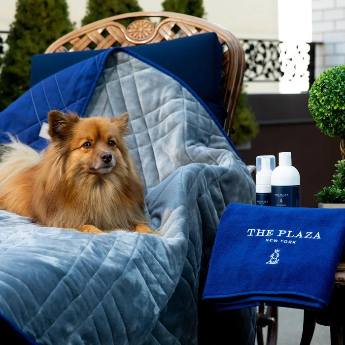 The Plaza Pet Set
