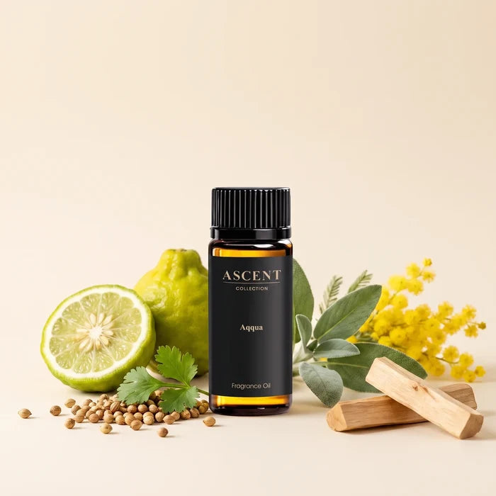 Aqqua diffuser oil with its notes — bergamot, coriander, sage, mimosa and sandalwood | Ascent Collection