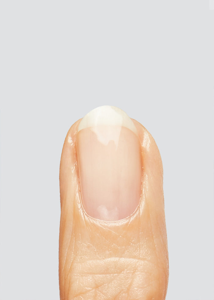 Bond Base | Hema free base coat