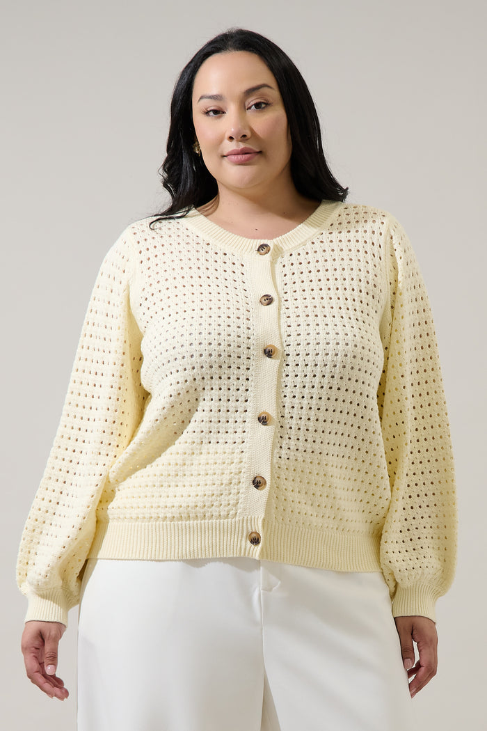 Deffy Button Down Knit Cardigan Curve