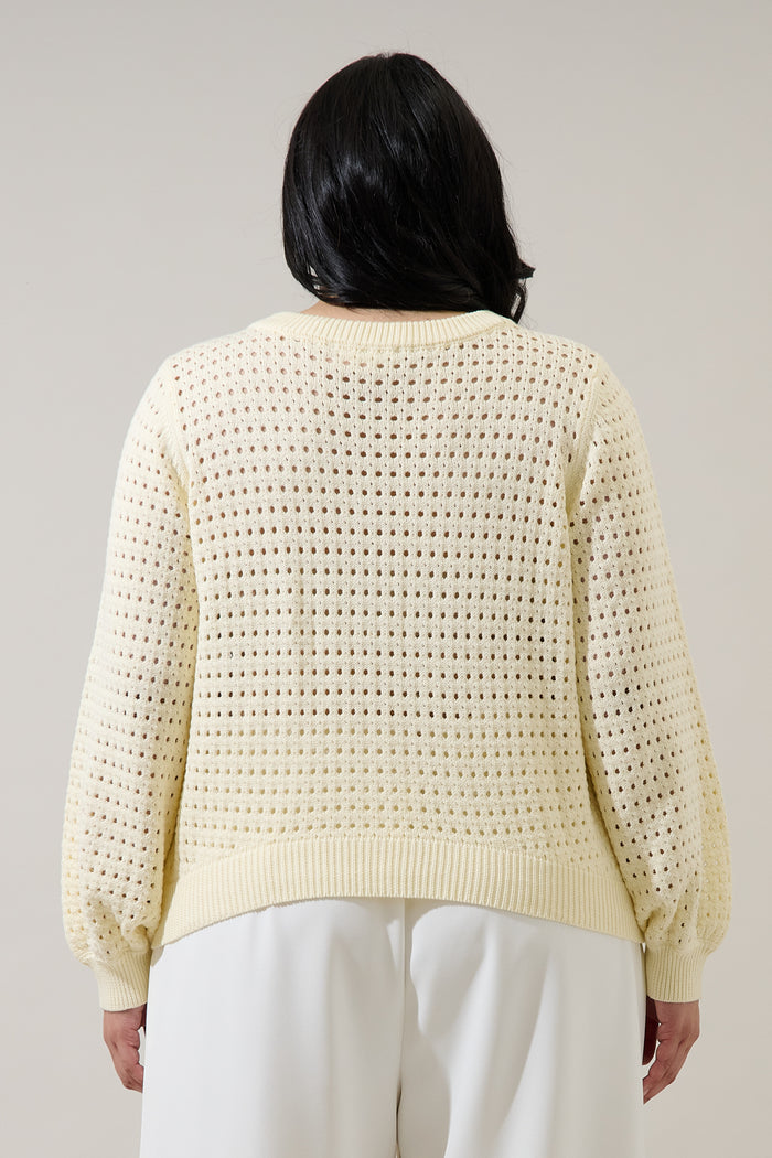 Deffy Button Down Knit Cardigan Curve