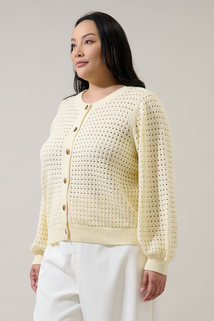 Deffy Button Down Knit Cardigan Curve