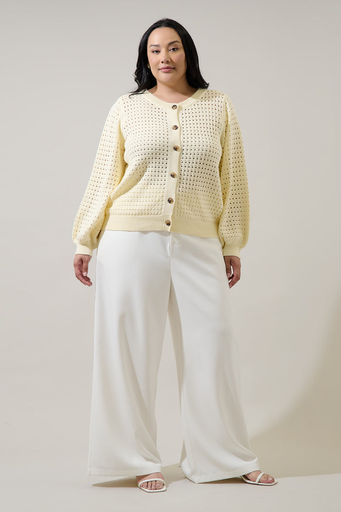 Deffy Button Down Knit Cardigan Curve