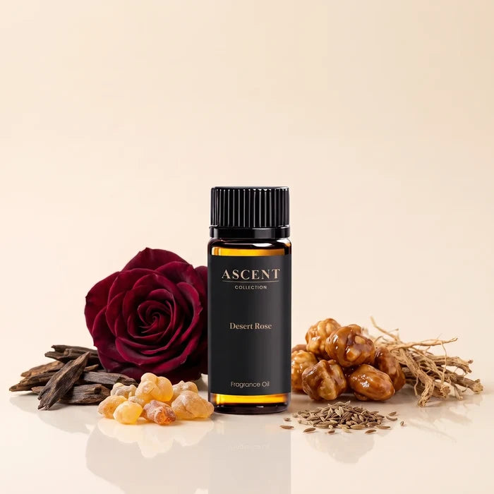 Desert Rose diffuser oil with its notes — damask rose, oud, frankincense, praline, vetiver, caraway and cumin | Ascent Collection