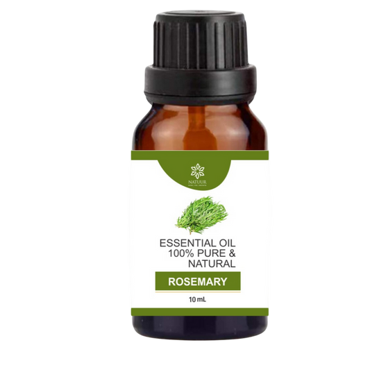 FOCUS | Rosemary Essential Oil | Steam Distilled | Pure | Stimulate | Revitalise | Elevate