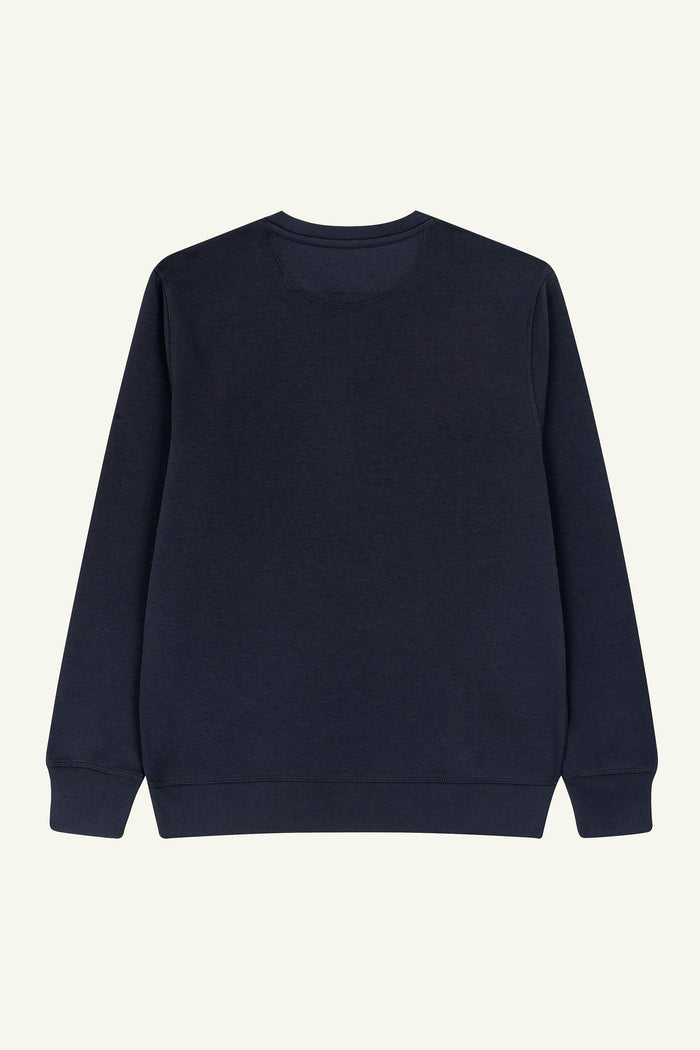 Contrast Jumping Whale sweatshirt, premium organic cotton graphic sweatshirt in Indian Grey