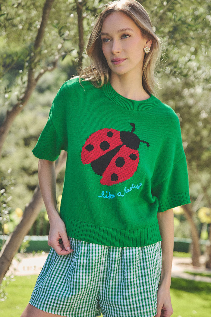 Ladybug Drop Shoulder Sweater Top
