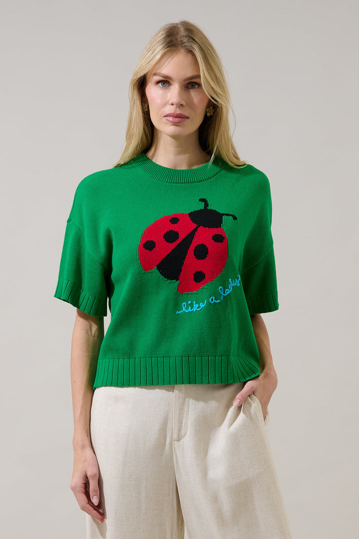 Ladybug Drop Shoulder Sweater Top