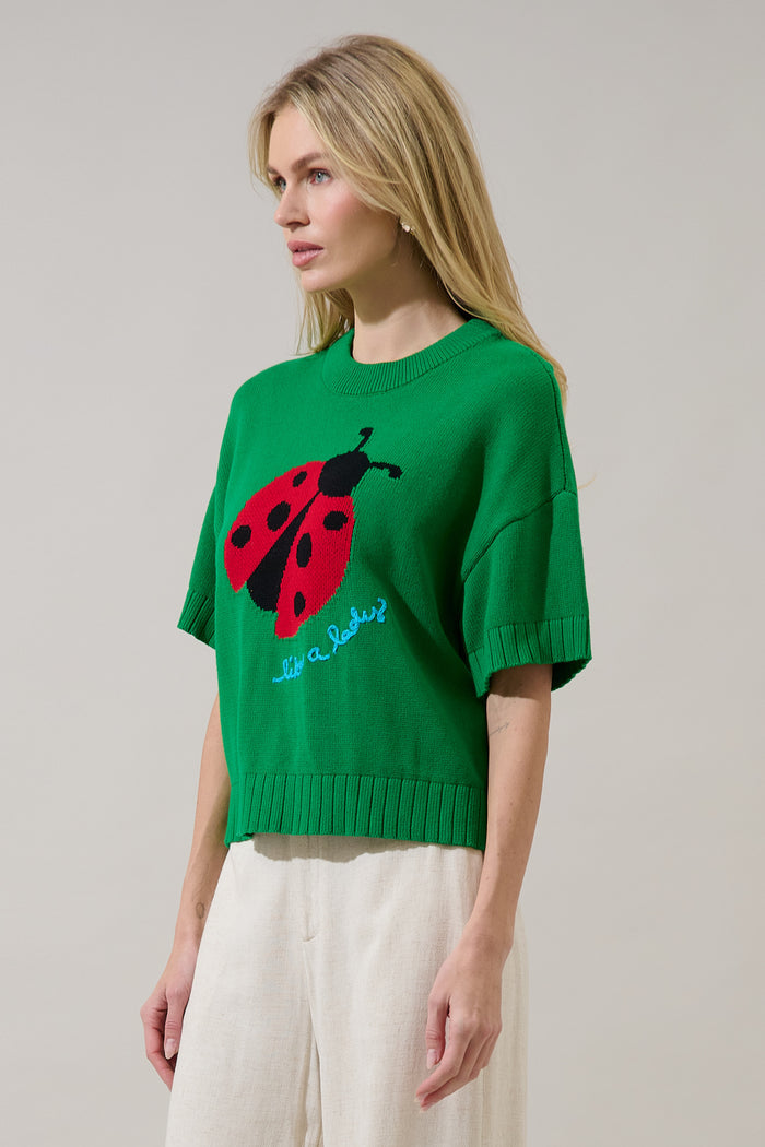 Ladybug Drop Shoulder Sweater Top