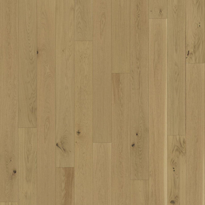 Close-up of a wooden floor with a natural finish