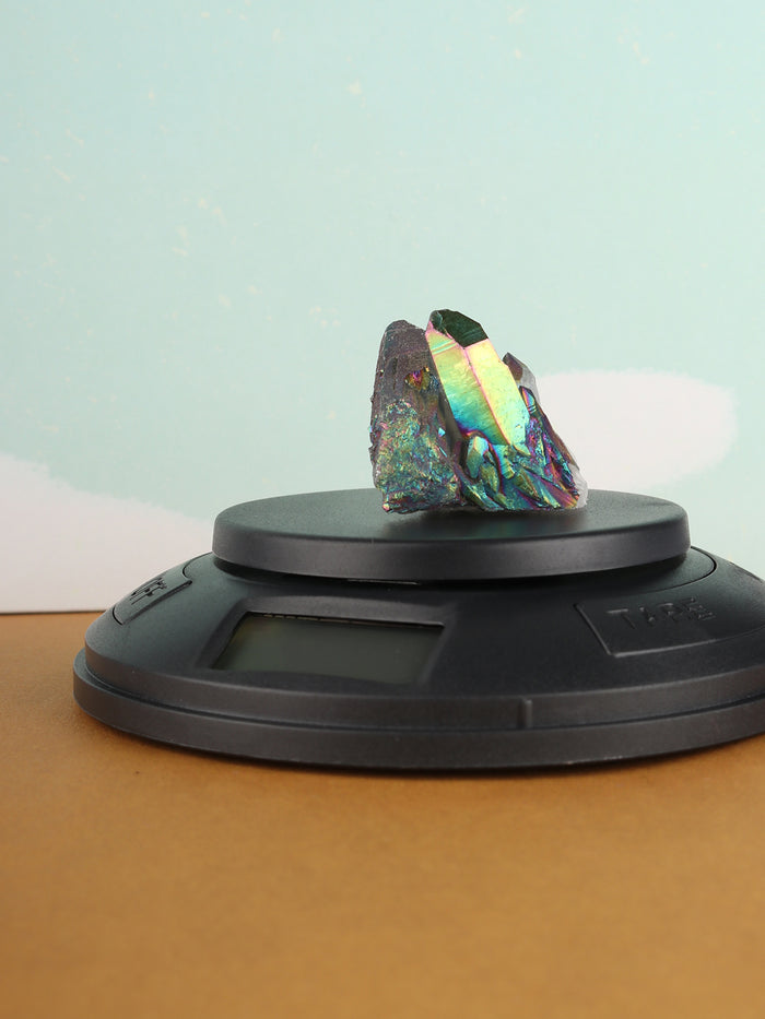 Mini-Hippo 400g x 01g | One Colour-Image 1