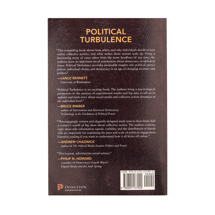 Political Turbulence