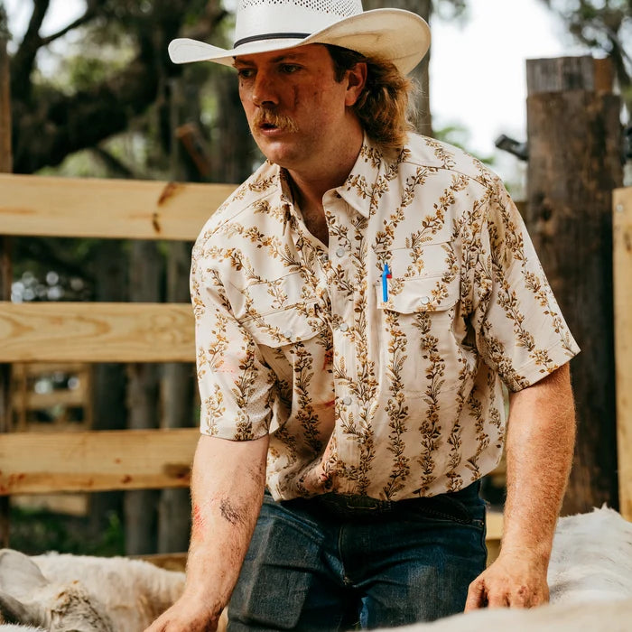 Stockyard Short Sleeve 4 for 3 - Ice Blue, Light Grey, White, High Cotton