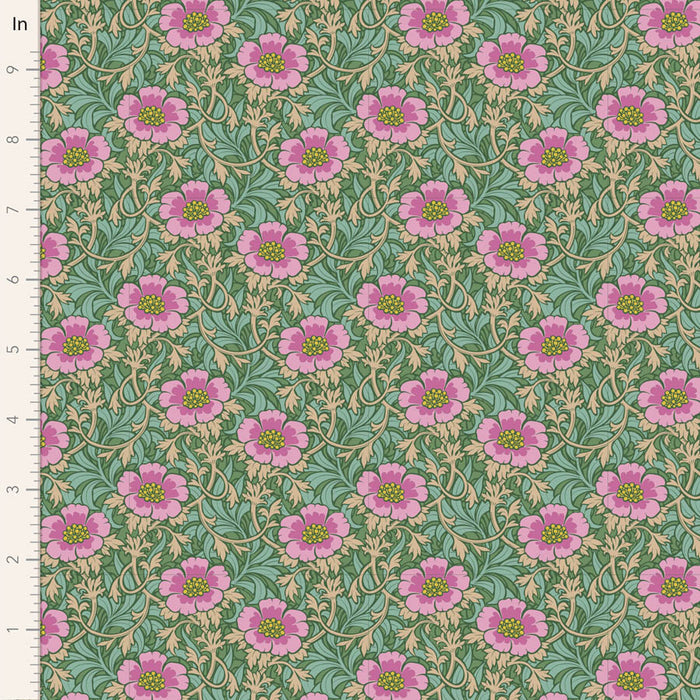 Half Meter / Winterrose Sage