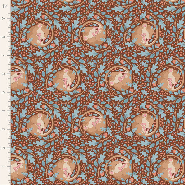 Half Meter / Sleepymouse Hazel