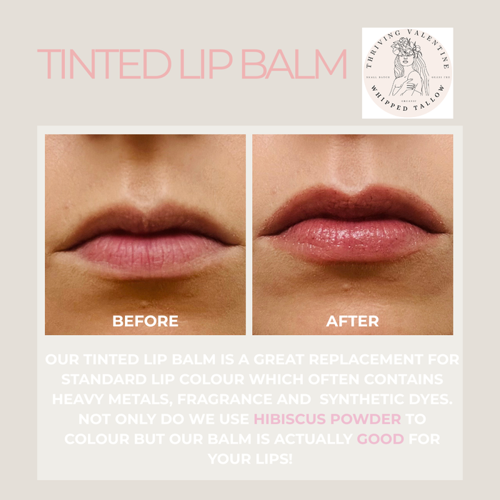 Tinted Tallow Lip Balm